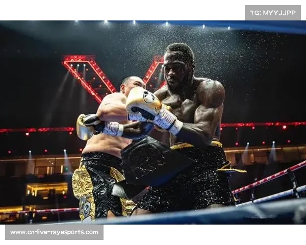 维尔德训练营引入新型冲击吸收拳靶有效降低拳击运动脑震荡风险